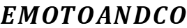 emoto and co.